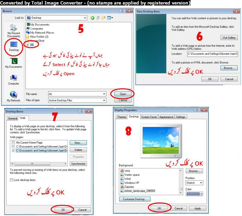 388006d1363098154-ss6